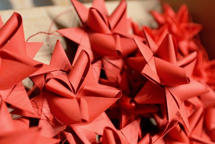 rote Fröbelsterne - Copyright: Gemeinschaftswerk der Evangelischen Publizistik (GEP) gGmbH